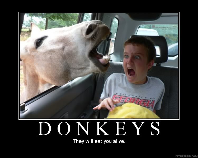 MotivationalPosters-Donkeys.jpg